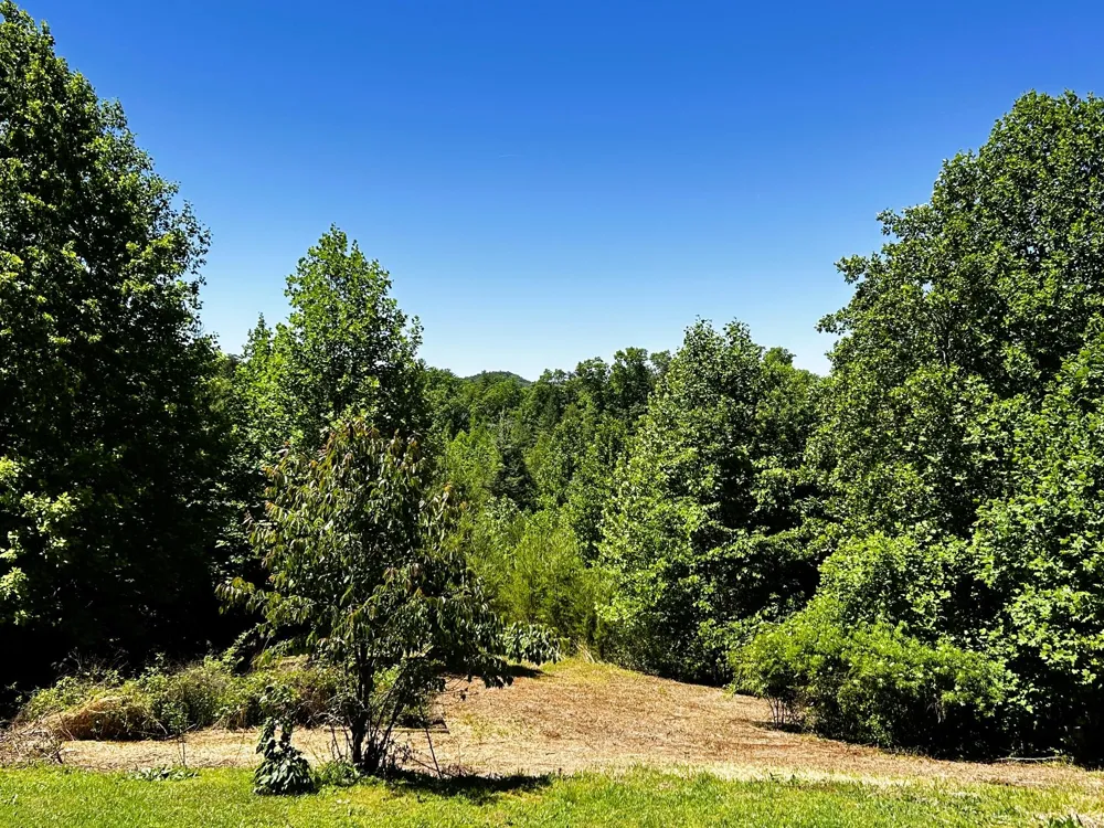 161 Willie Shell Road Reliance, TN 37369