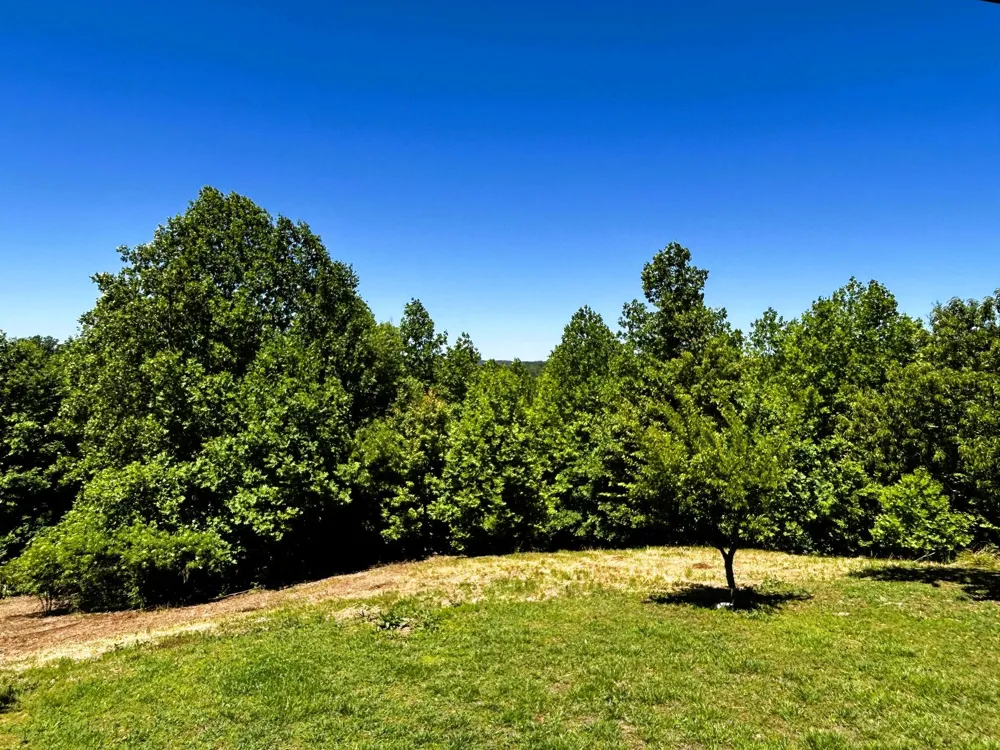 161 Willie Shell Road Reliance, TN 37369