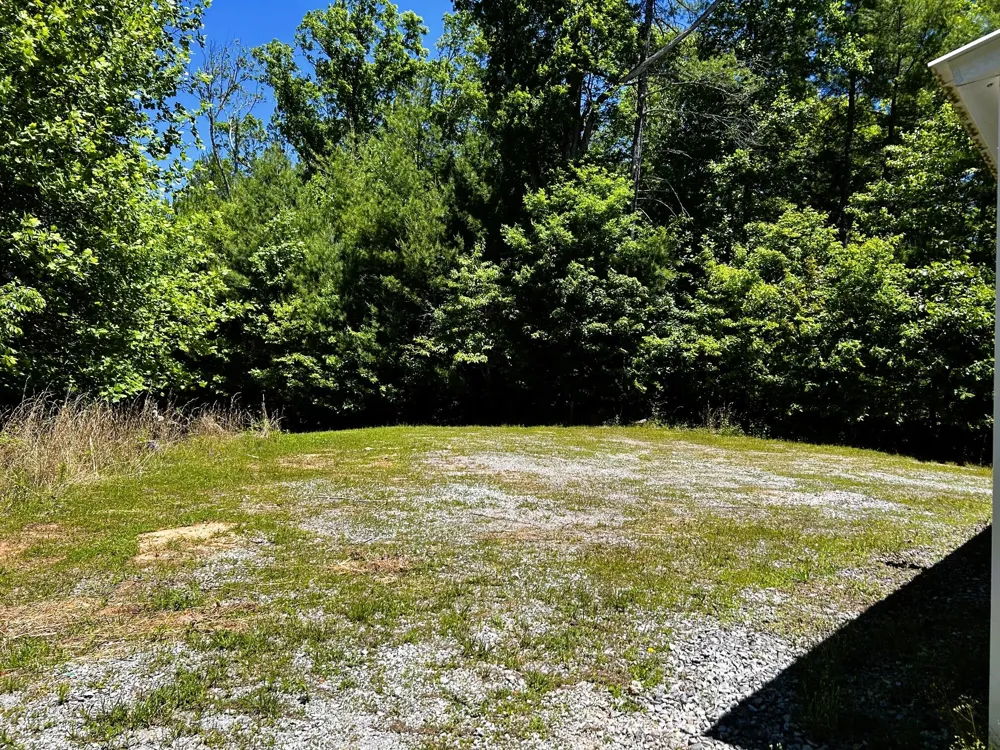 161 Willie Shell Road Reliance, TN 37369