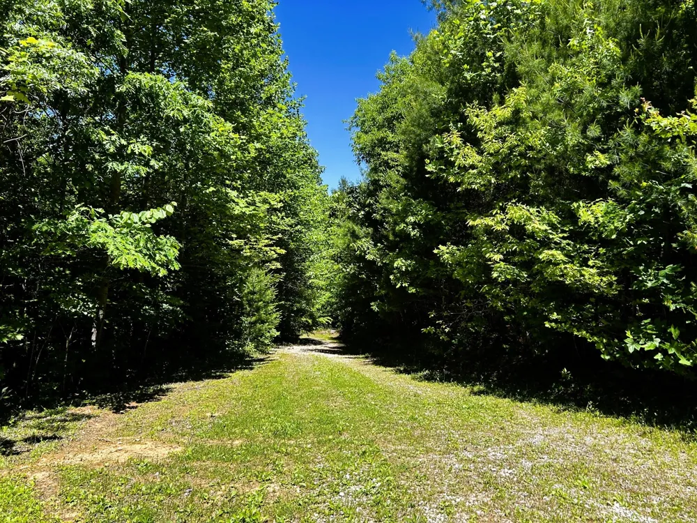 161 Willie Shell Road Reliance, TN 37369