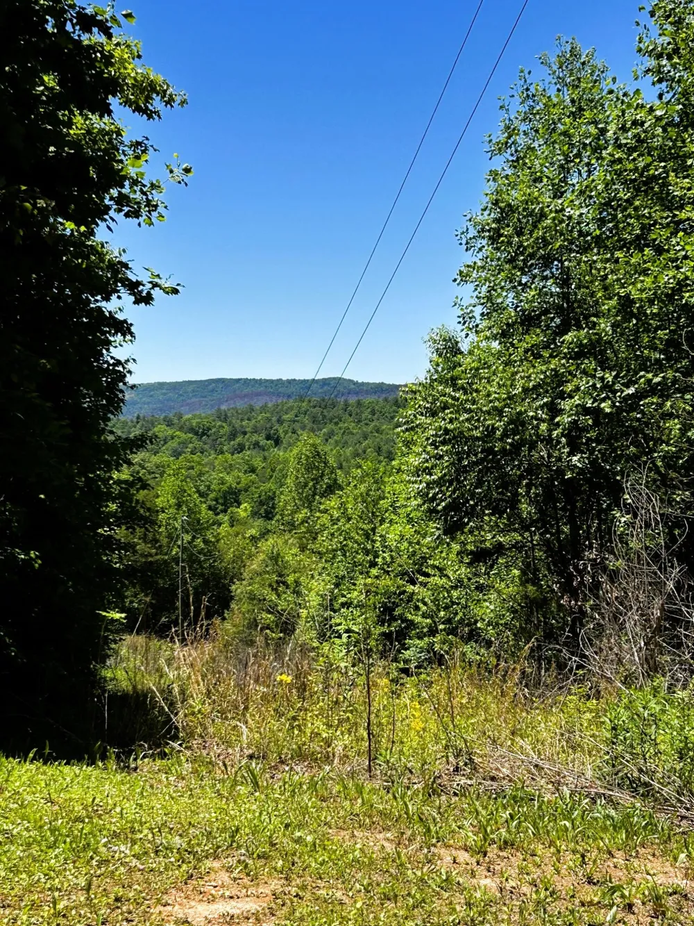 161 Willie Shell Road Reliance, TN 37369