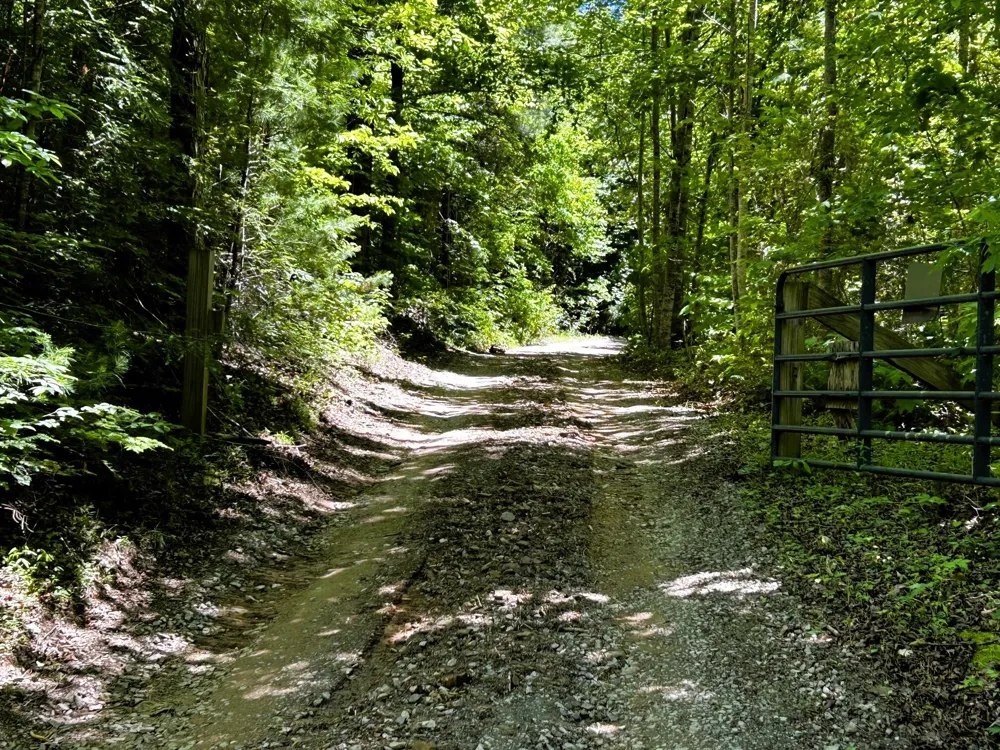 161 Willie Shell Road Reliance, TN 37369