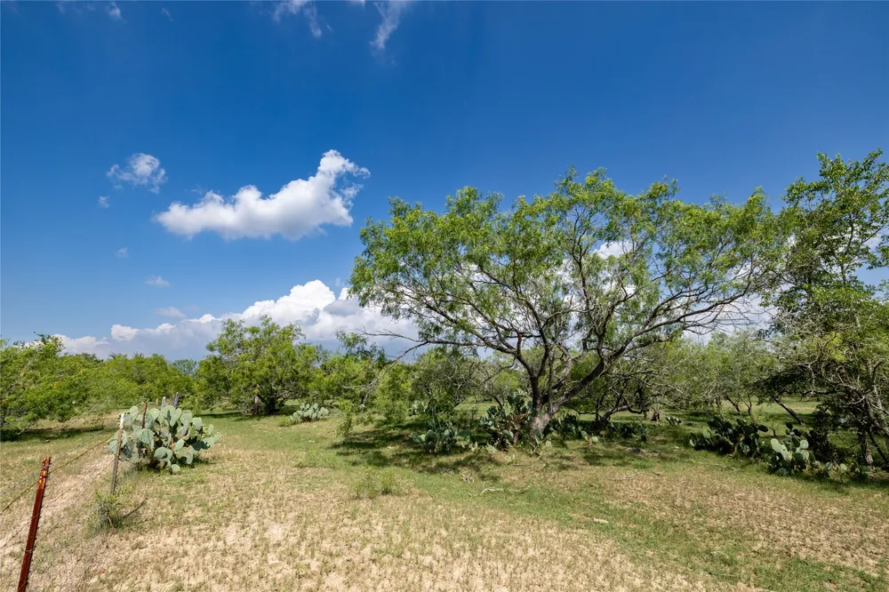 410 Green Acre Drive Dale, TX 78616
