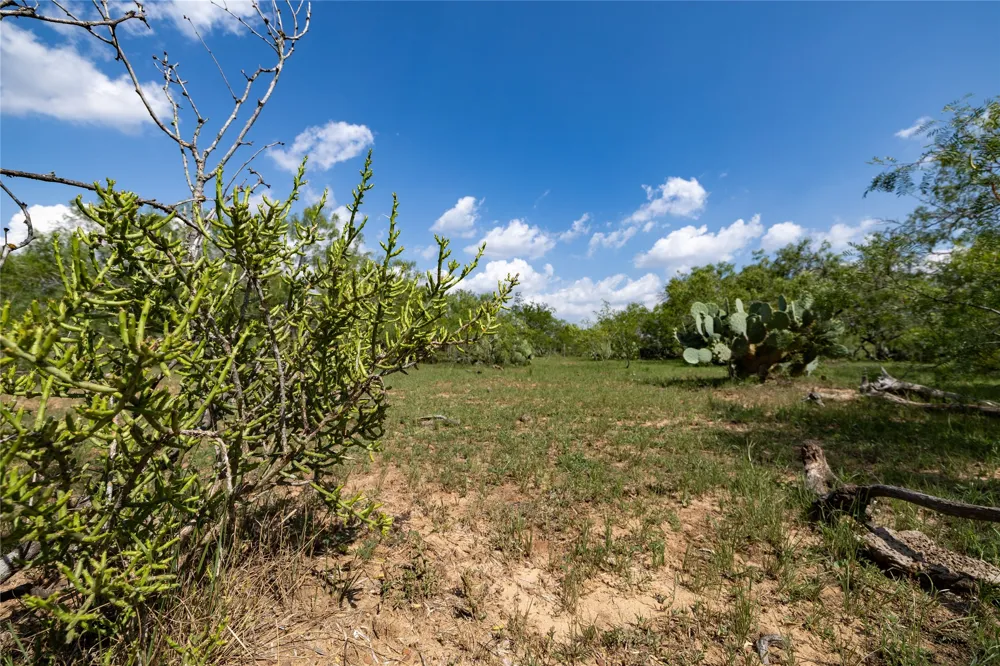 410 Green Acre Drive Dale, TX 78616