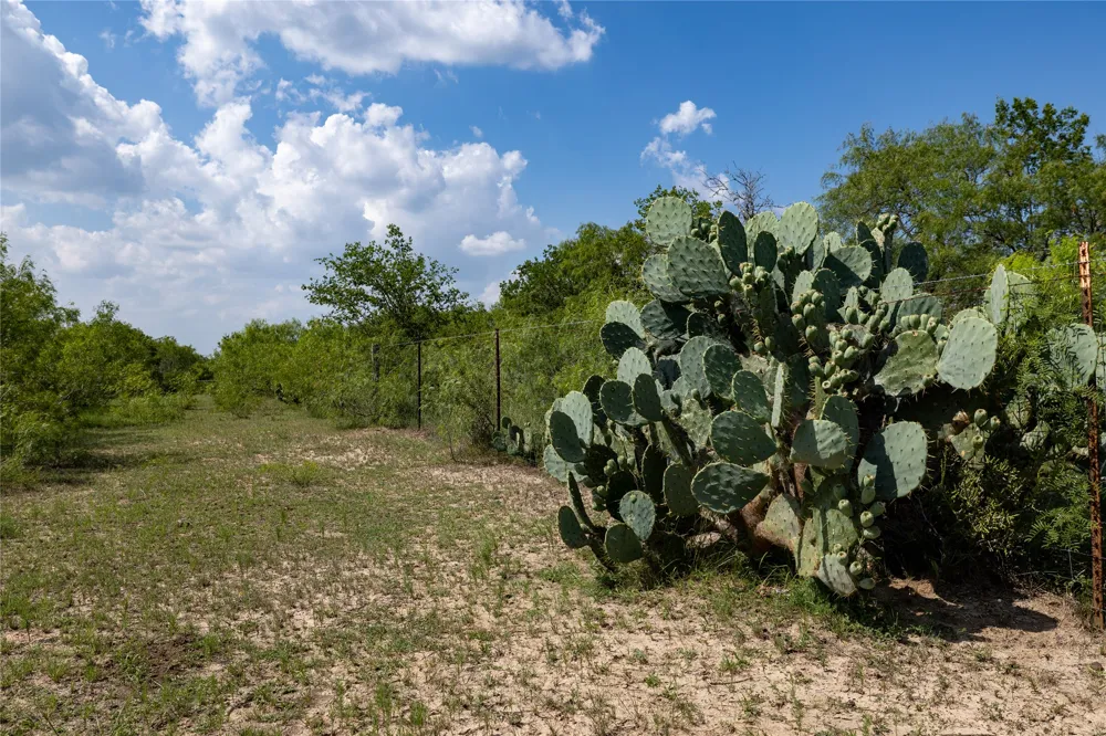 410 Green Acre Drive Dale, TX 78616