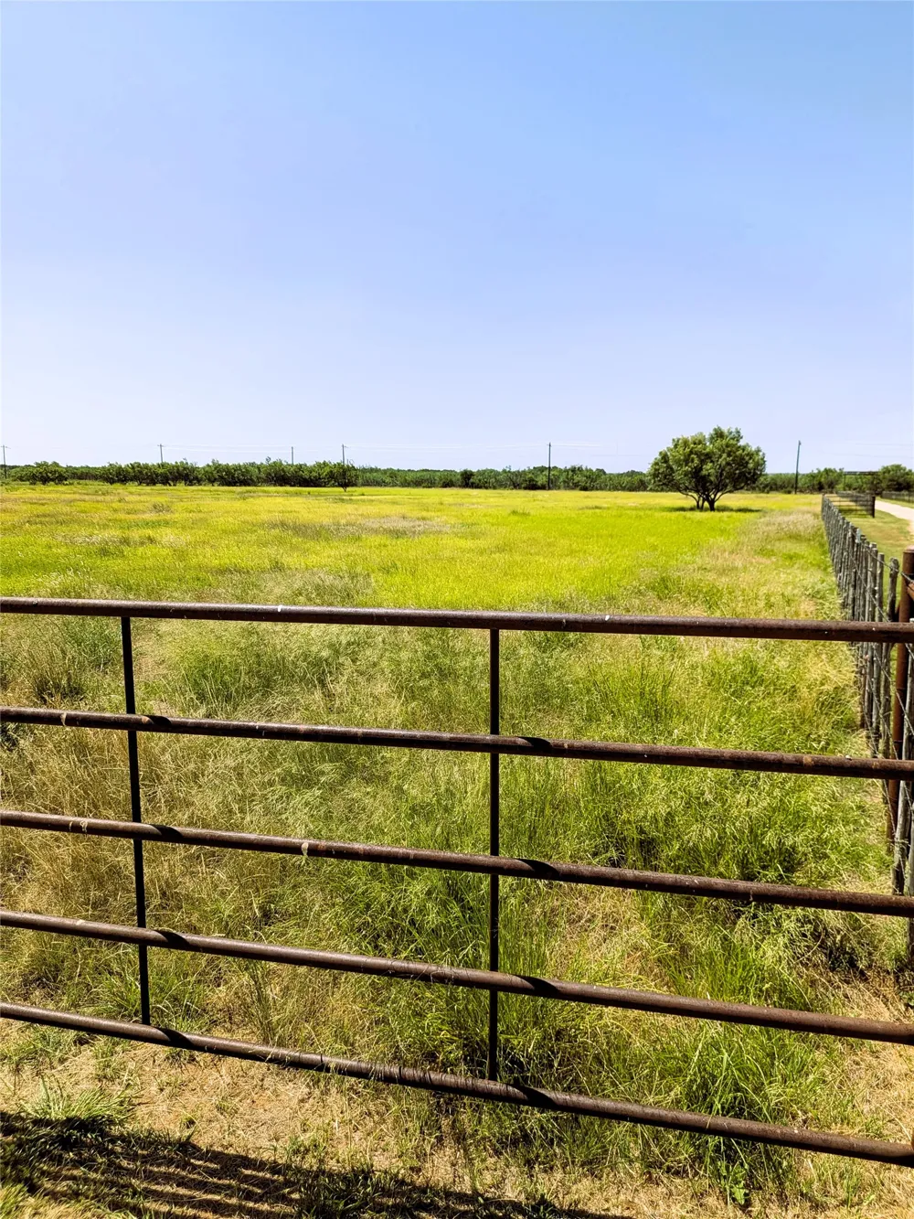 13656 County Road 238 Clyde, TX 79510
