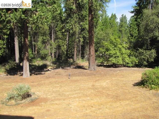 19071 W. ALLAN Volcano, CA 95689