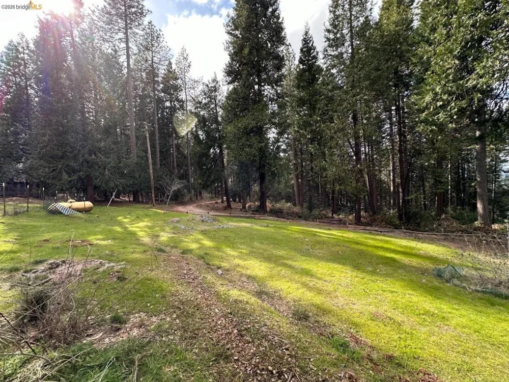 19071 W. ALLAN Volcano, CA 95689