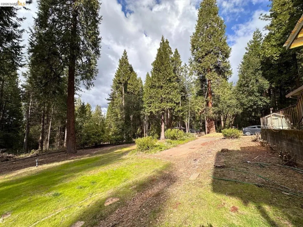 19071 W. ALLAN Volcano, CA 95689