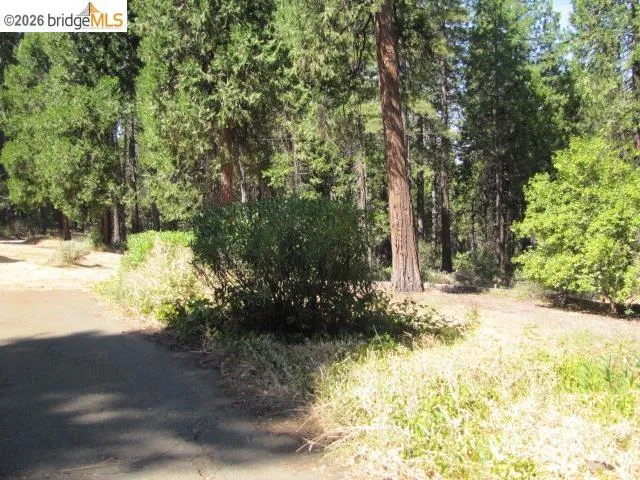 19071 W. ALLAN Volcano, CA 95689