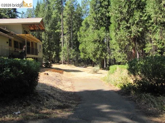 19071 W. ALLAN Volcano, CA 95689