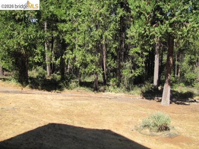 19071 W. ALLAN Volcano, CA 95689