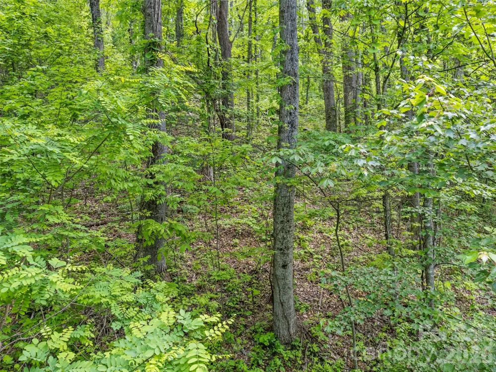 0000 Presidential Drive Waynesville, NC 28786