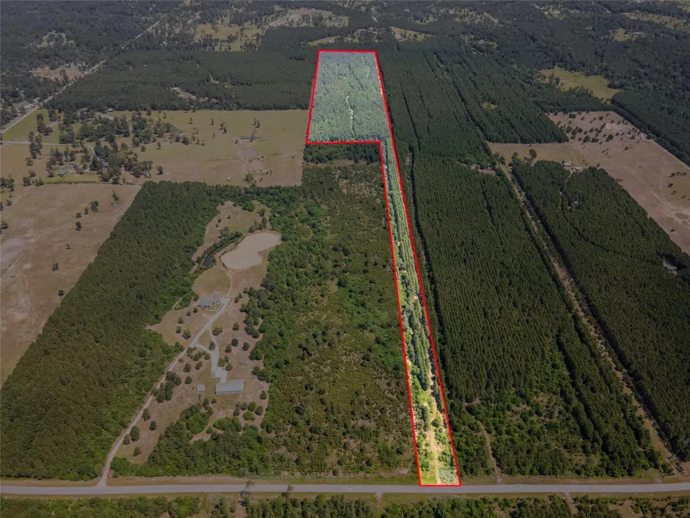 7443 County Road 302 Plantersville, TX 77363