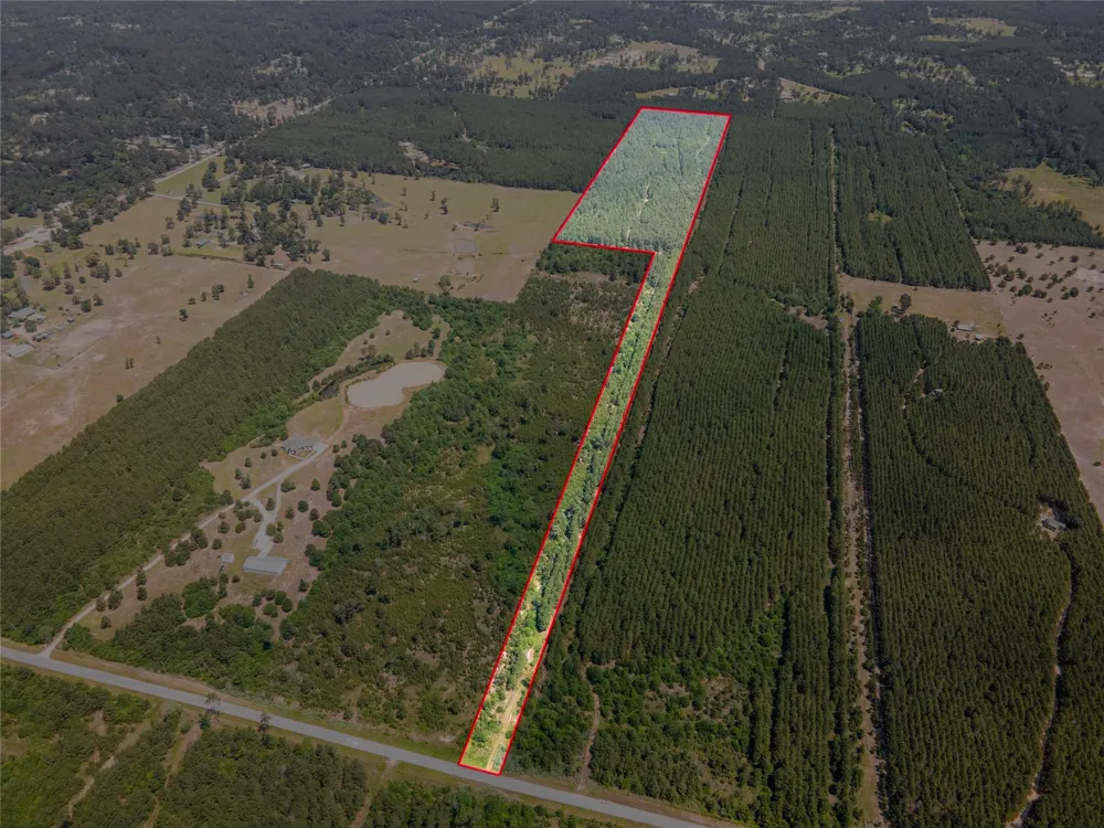 7443 County Road 302 Plantersville, TX 77363