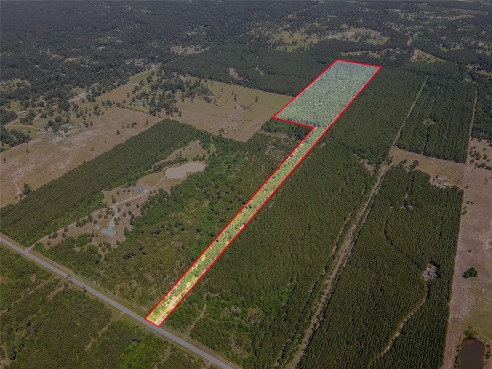 7443 County Road 302 Plantersville, TX 77363