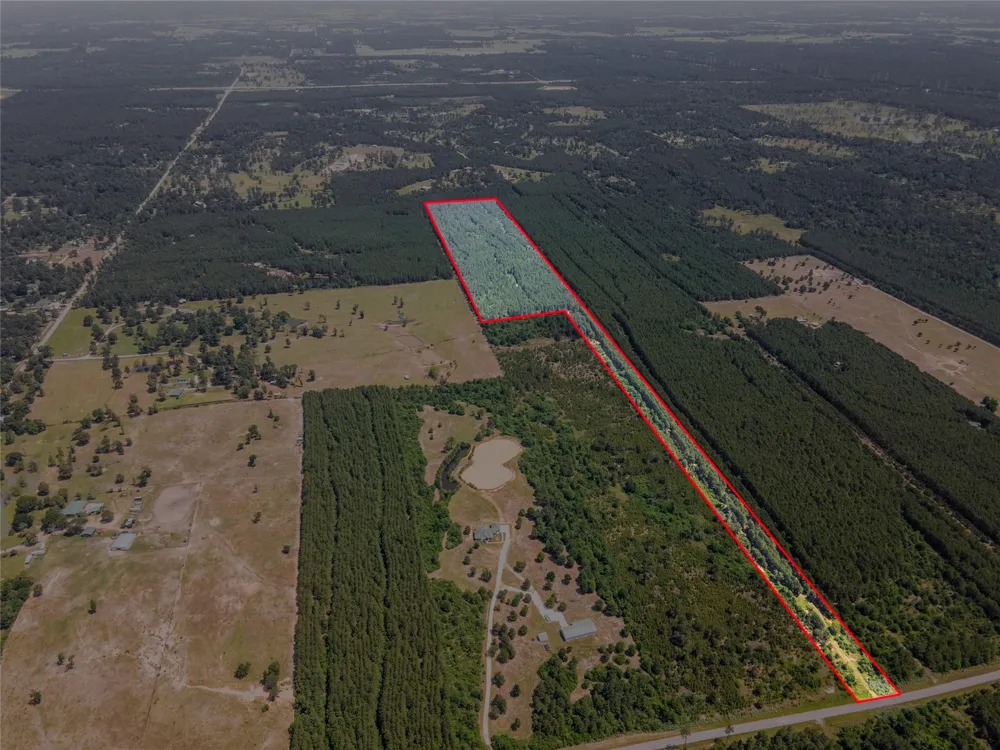 7443 County Road 302 Plantersville, TX 77363