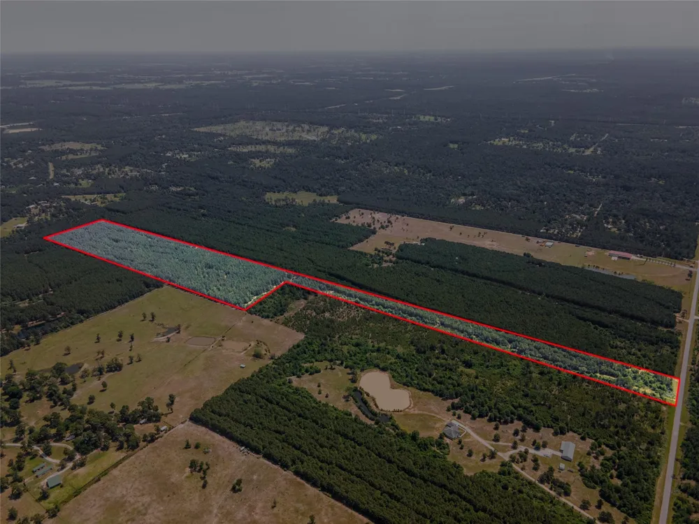 7443 County Road 302 Plantersville, TX 77363