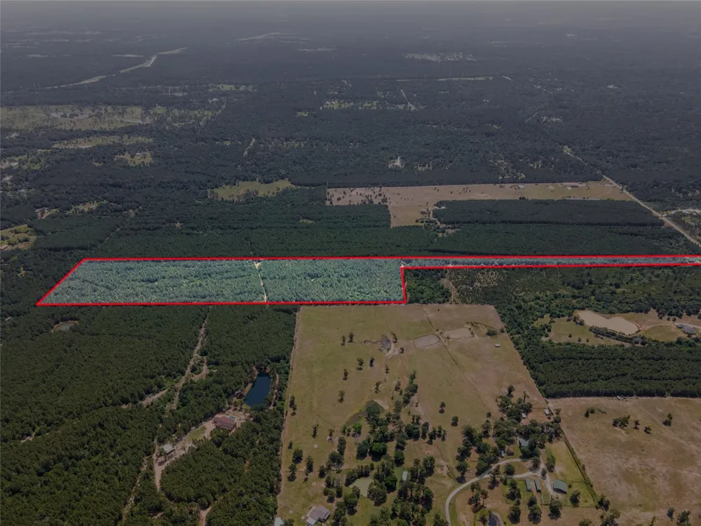 7443 County Road 302 Plantersville, TX 77363