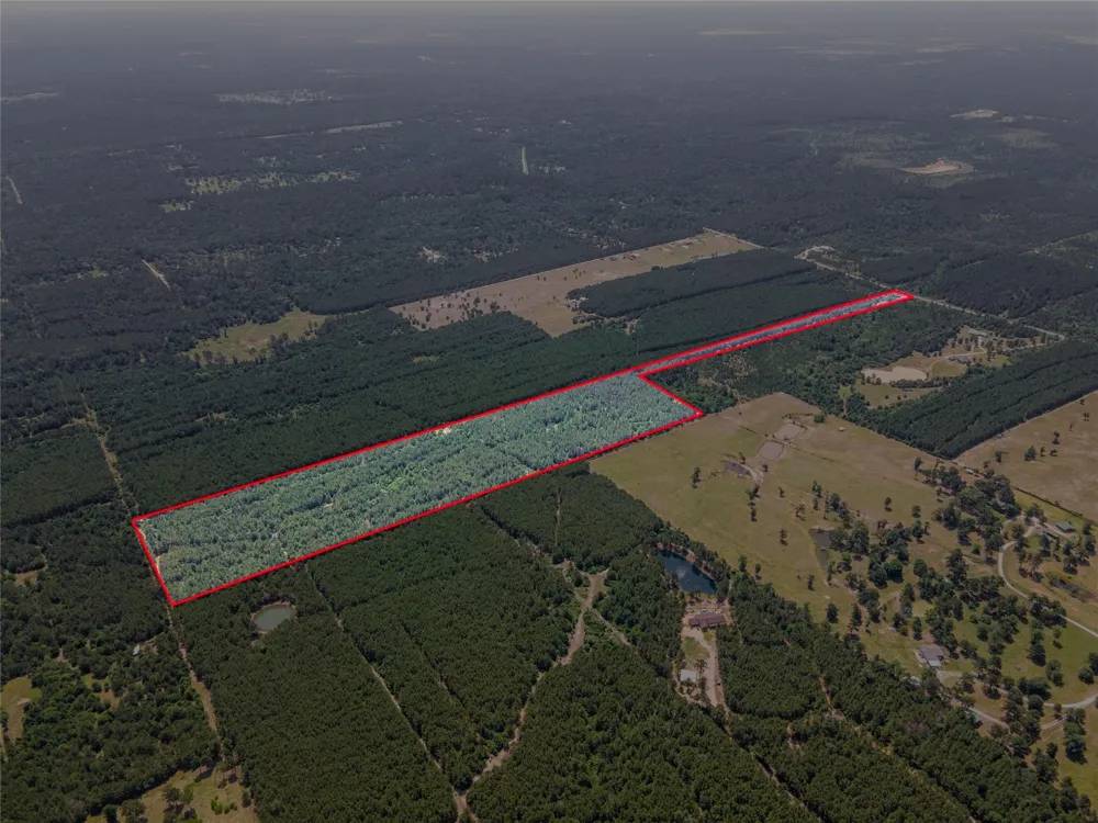 7443 County Road 302 Plantersville, TX 77363