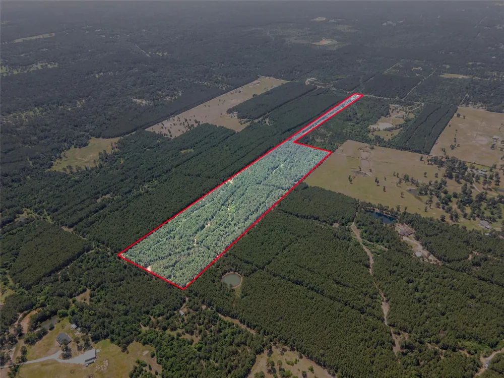 7443 County Road 302 Plantersville, TX 77363