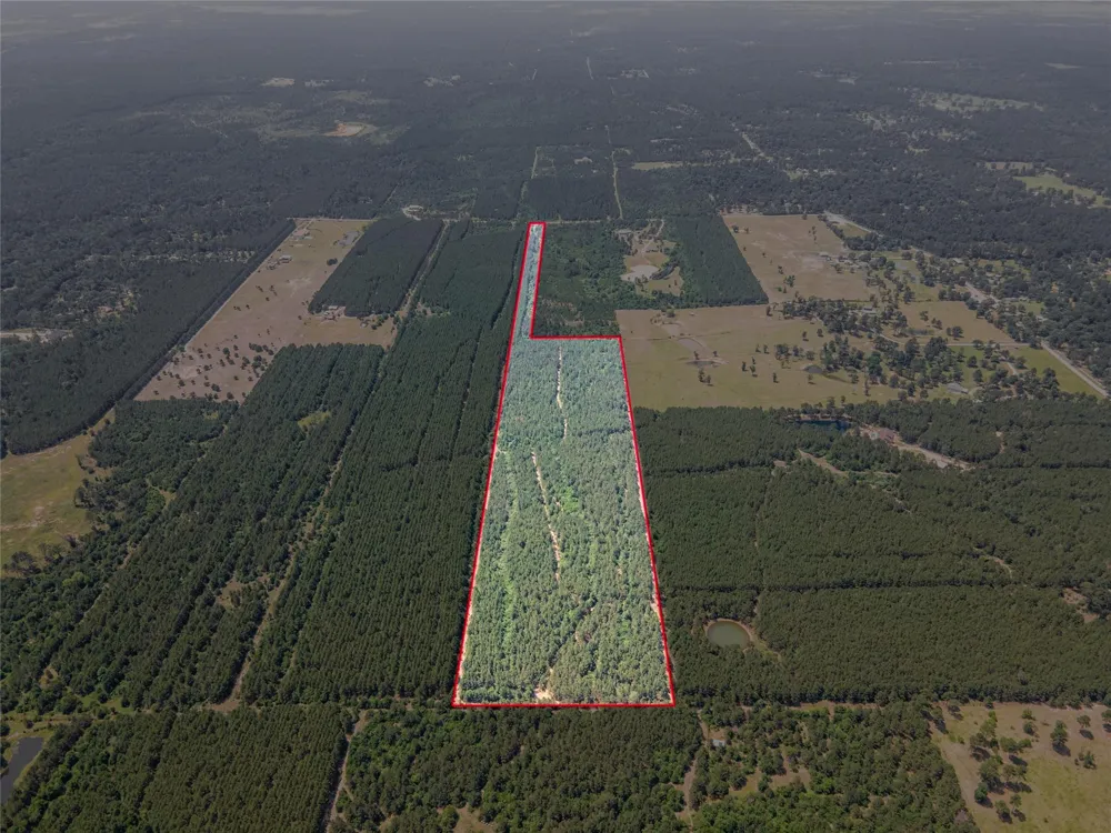 7443 County Road 302 Plantersville, TX 77363