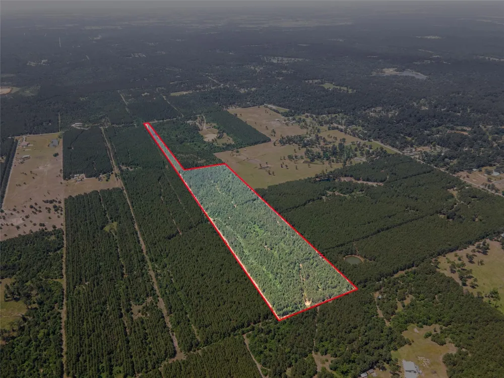 7443 County Road 302 Plantersville, TX 77363