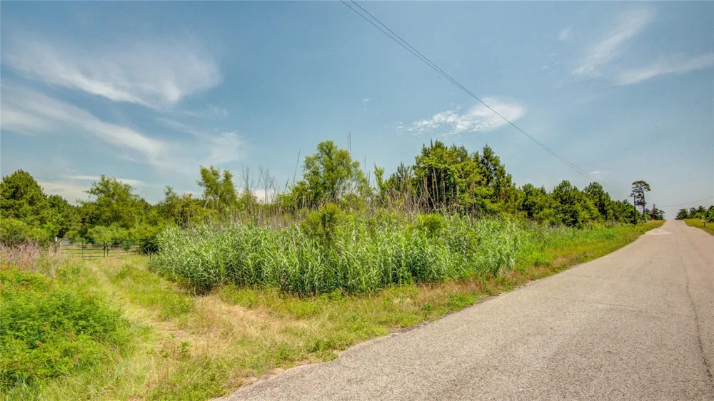 7443 County Road 302 Plantersville, TX 77363