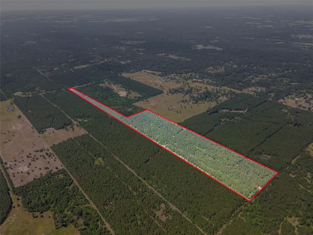 7443 County Road 302 Plantersville, TX 77363