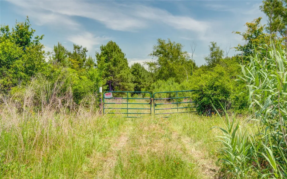 7443 County Road 302 Plantersville, TX 77363