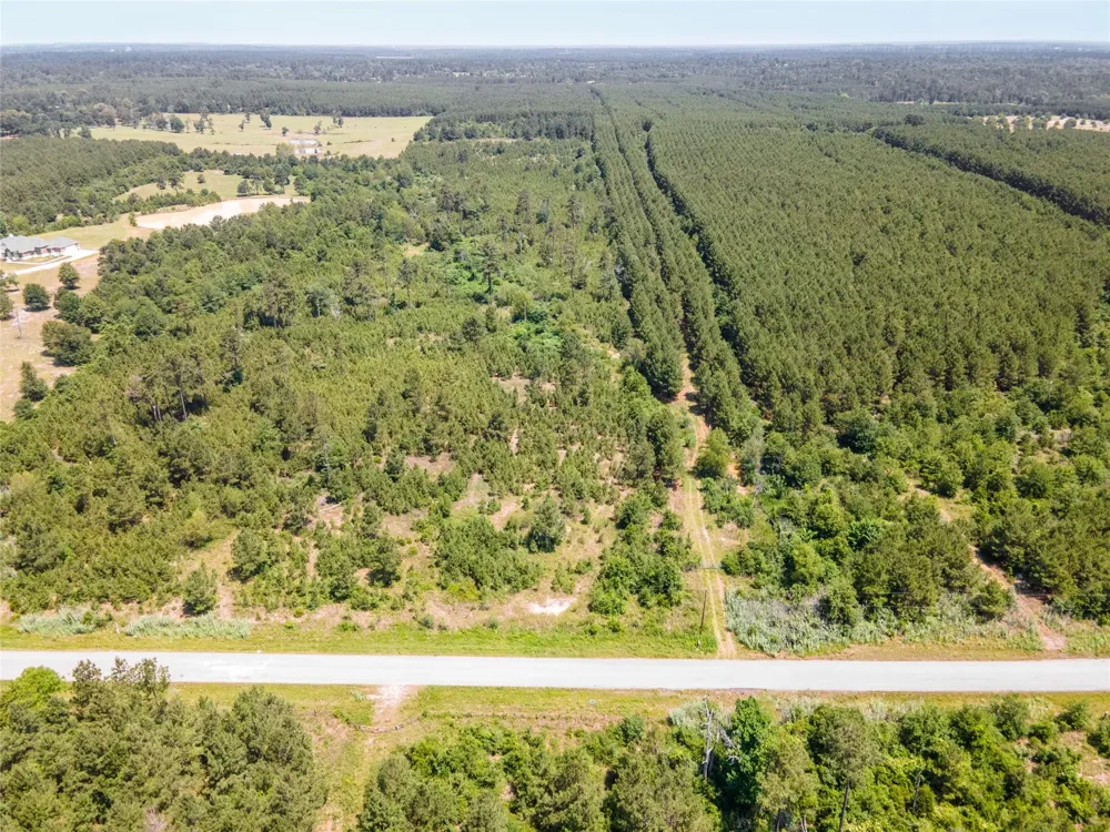 7443 County Road 302 Plantersville, TX 77363