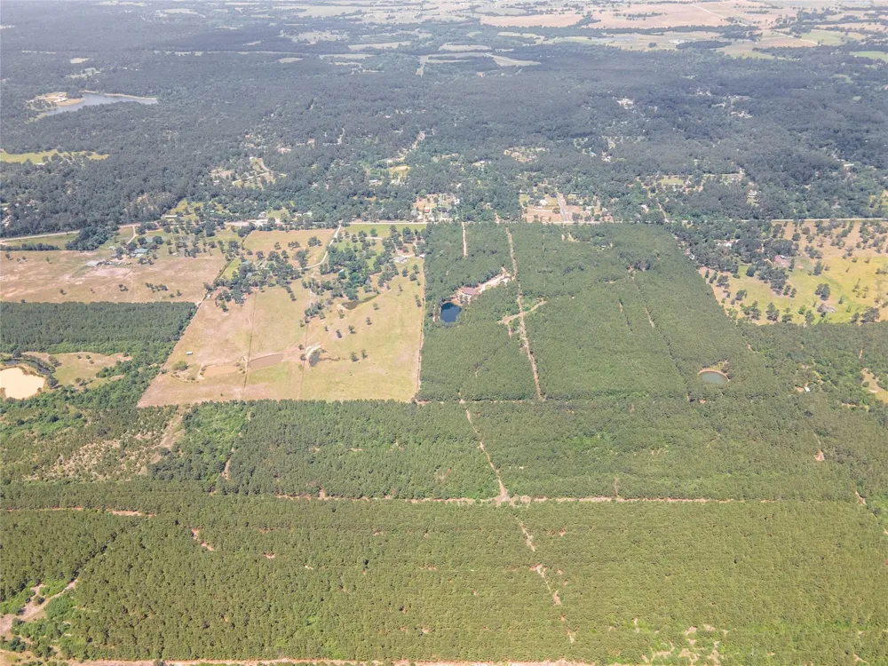 7443 County Road 302 Plantersville, TX 77363
