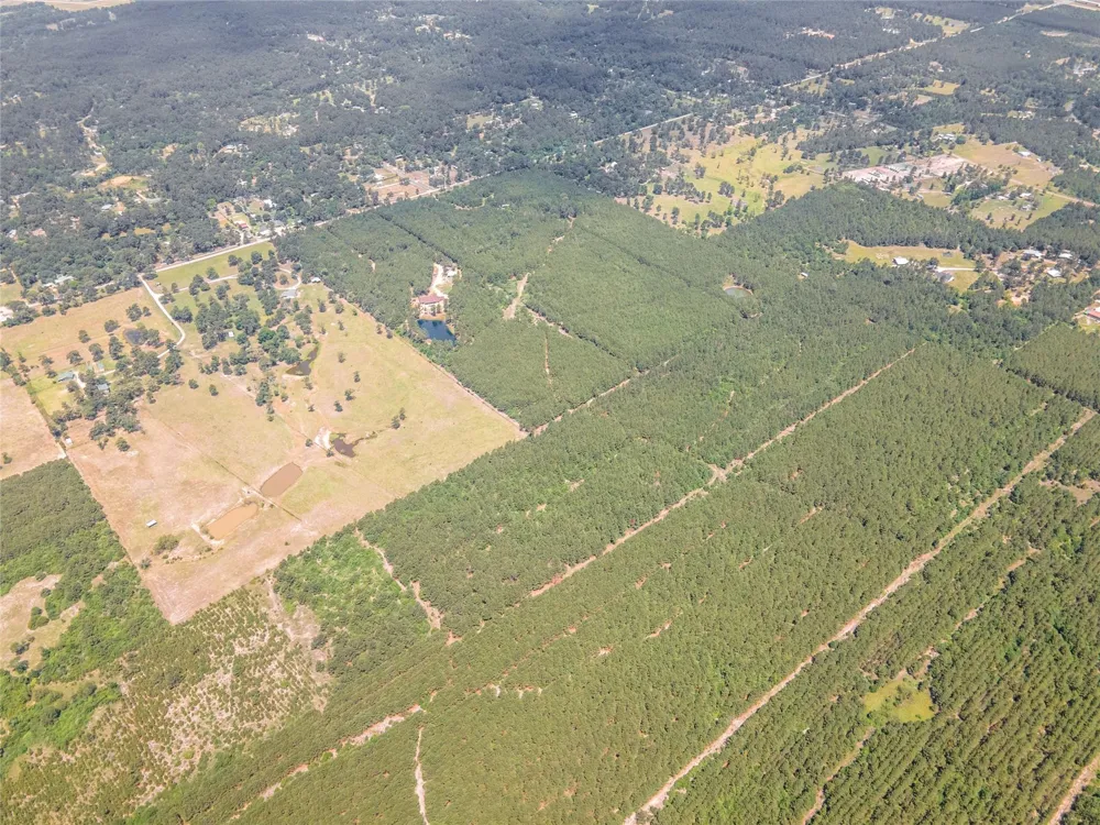 7443 County Road 302 Plantersville, TX 77363