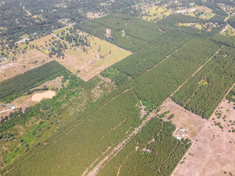7443 County Road 302 Plantersville, TX 77363