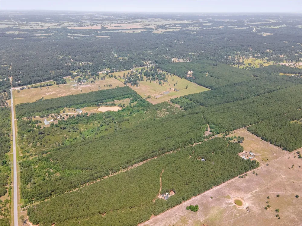 7443 County Road 302 Plantersville, TX 77363