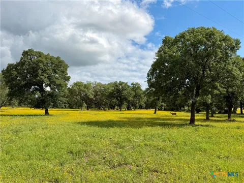 15631 Fm 682 - TRACT A