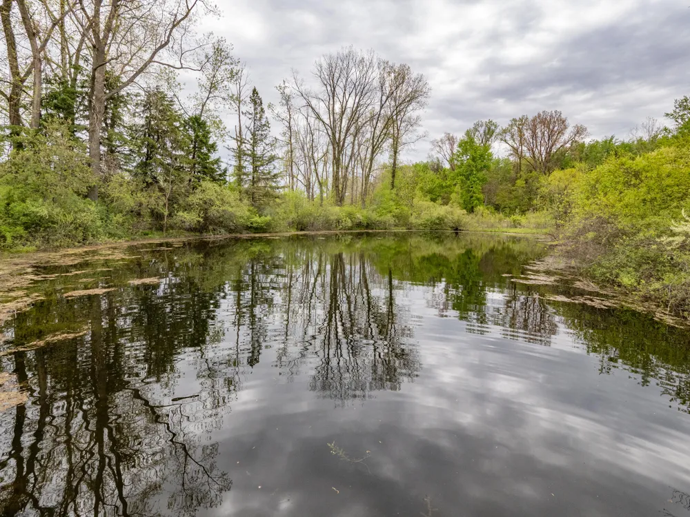 59021 County Road 215 Lawrence Township, MI 49064