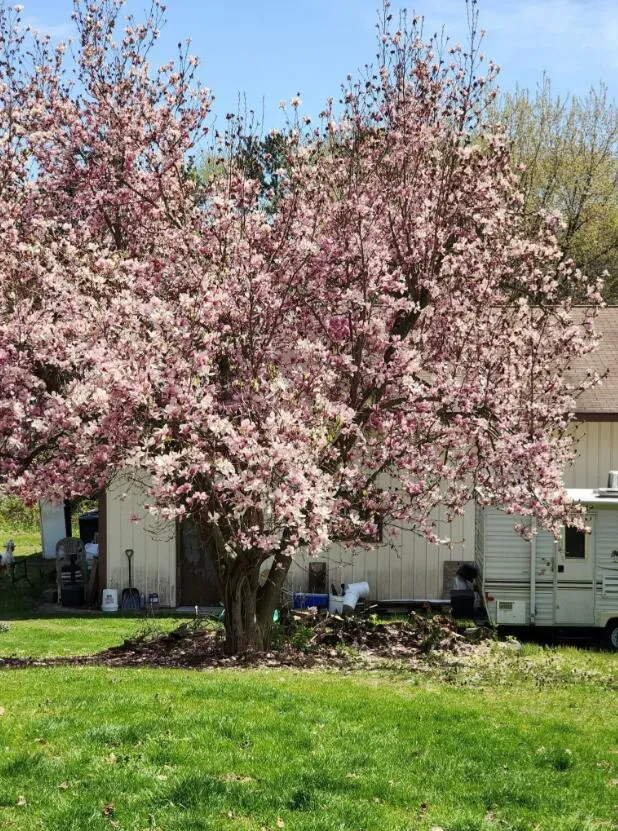 59021 County Road 215 Lawrence Township, MI 49064