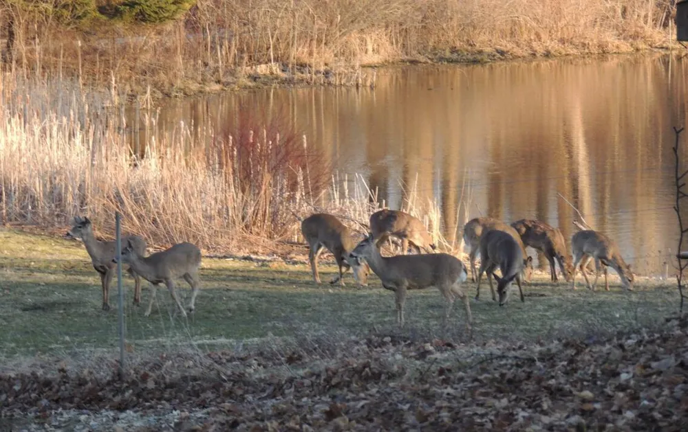 59021 County Road 215 Lawrence Township, MI 49064