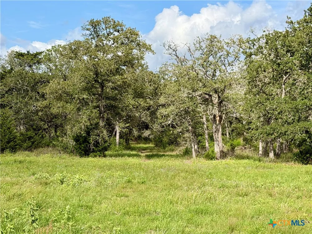 15631 Fm 682 - TRACT F Yoakum, TX 77995