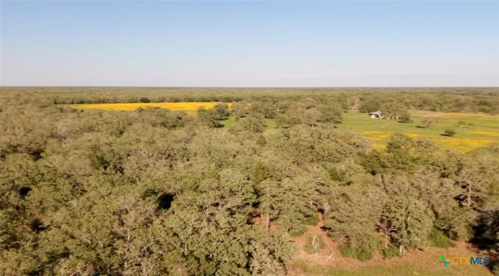 15631 Fm 682 - TRACT F Yoakum, TX 77995