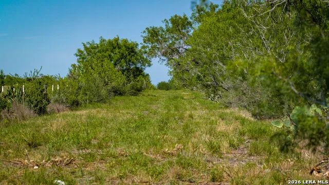 422 F.M. 791 Campbellton, TX 78008