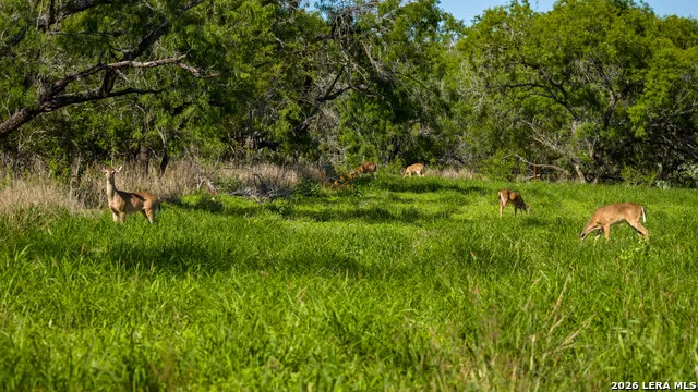 422 F.M. 791 Campbellton, TX 78008