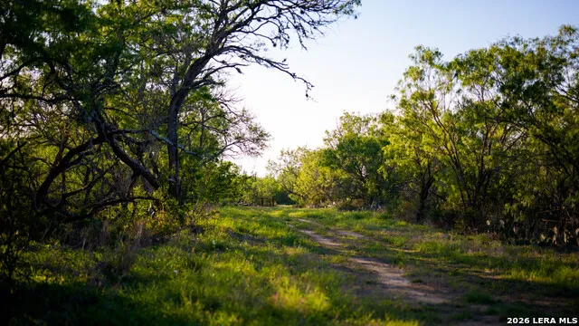 422 F.M. 791 Campbellton, TX 78008