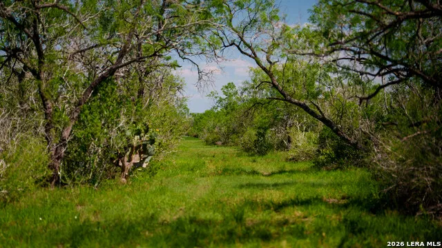 422 F.M. 791 Campbellton, TX 78008