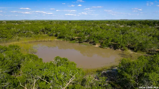 422 F.M. 791 Campbellton, TX 78008
