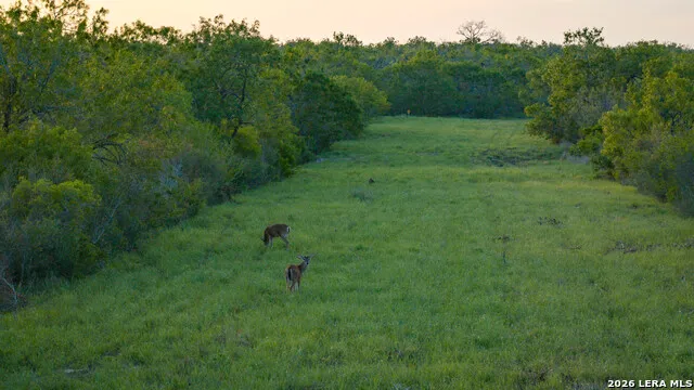 422 F.M. 791 Campbellton, TX 78008