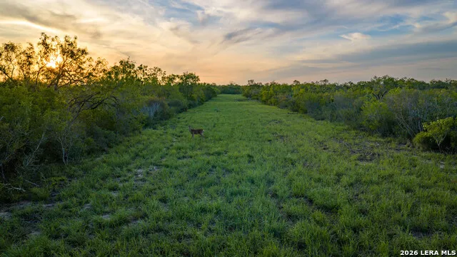 422 F.M. 791 Campbellton, TX 78008