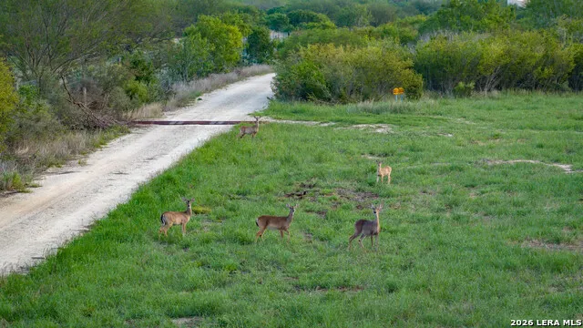 422 F.M. 791 Campbellton, TX 78008