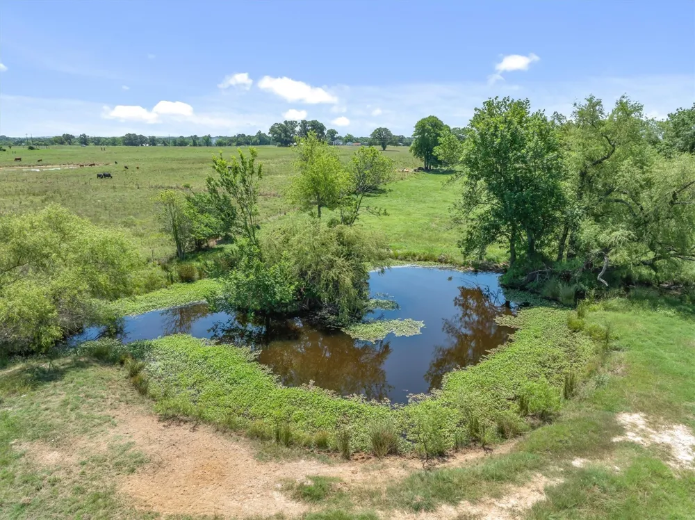 1026 Vz County Road 2115 Canton, TX 75103